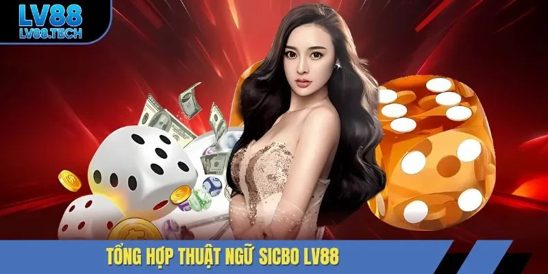 Tổng hợp thuật ngữ sicbo LV88